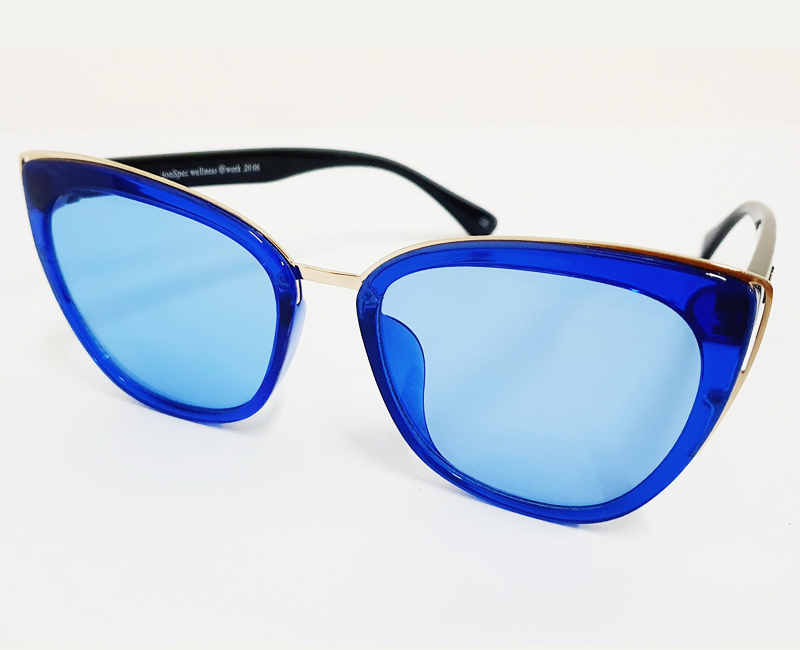 GS13 Blue Sunglasses